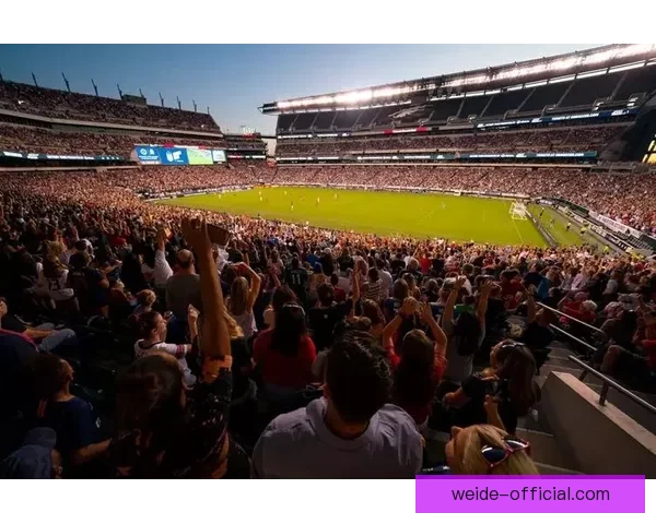 2026年国际足联世界杯精彩赛程与全球球迷狂欢盛况揭秘