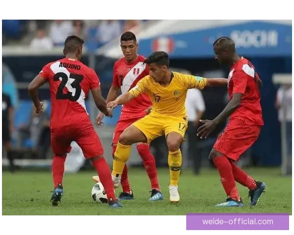 世界杯竞猜预测全面解析赢取奖金秘籍助你精准投注比分