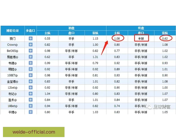 深度解析世界杯买球赔率变化规律与投注技巧全面指南